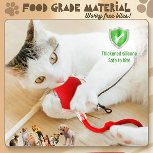 Cat playing with a red toy chase ball