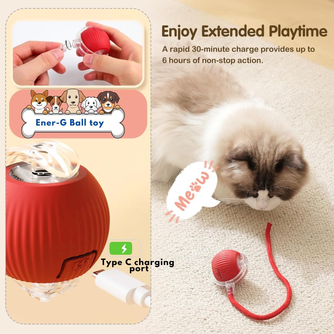 Smart Pet Toy Chase Ball